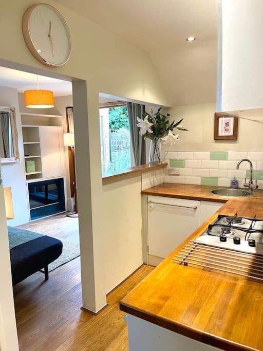 Private Garden Flat Stroud Finsbury Park Appartamento Londra