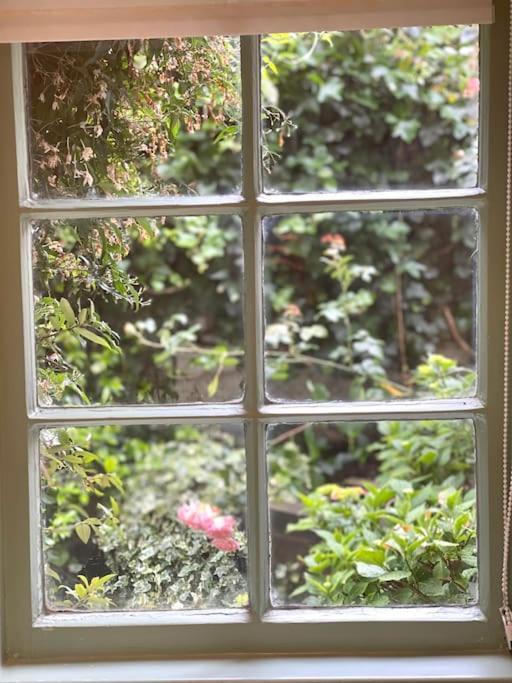 Appartamento Private Garden Flat Stroud Finsbury Park Londra